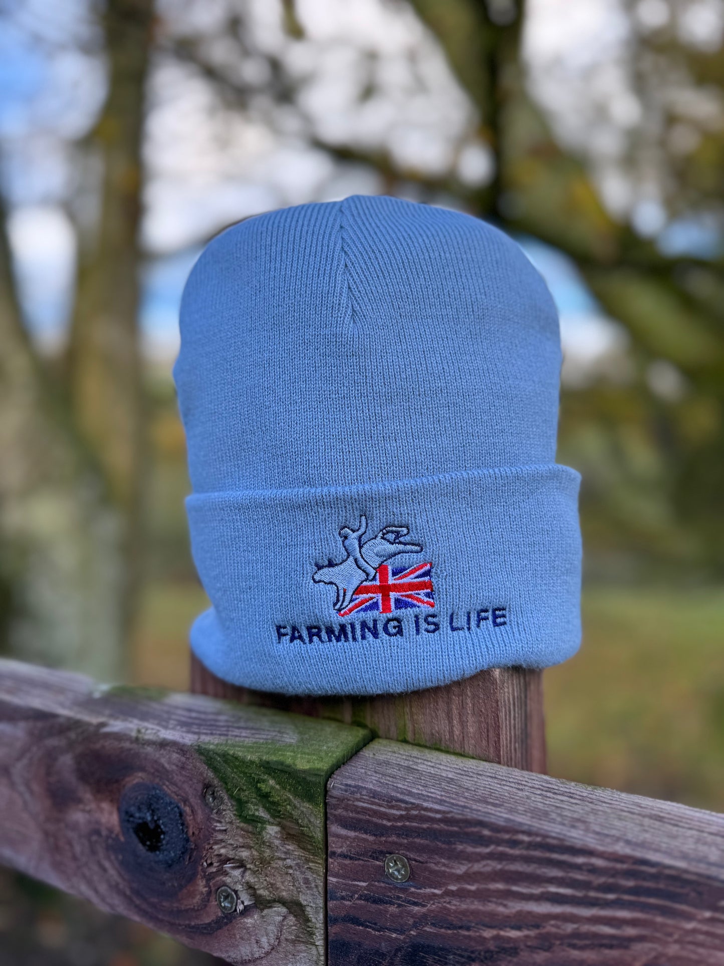 Beanie Hat Collection