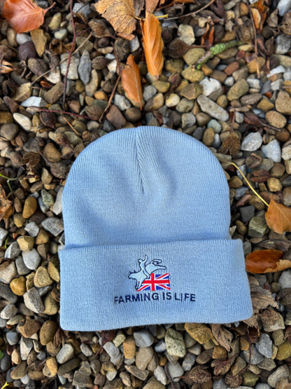 Beanie Hat Collection