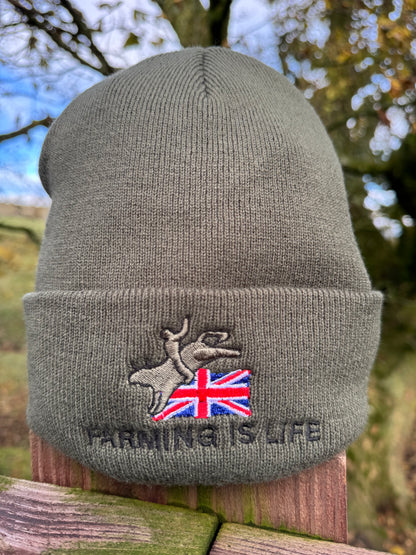 Beanie Hat Collection