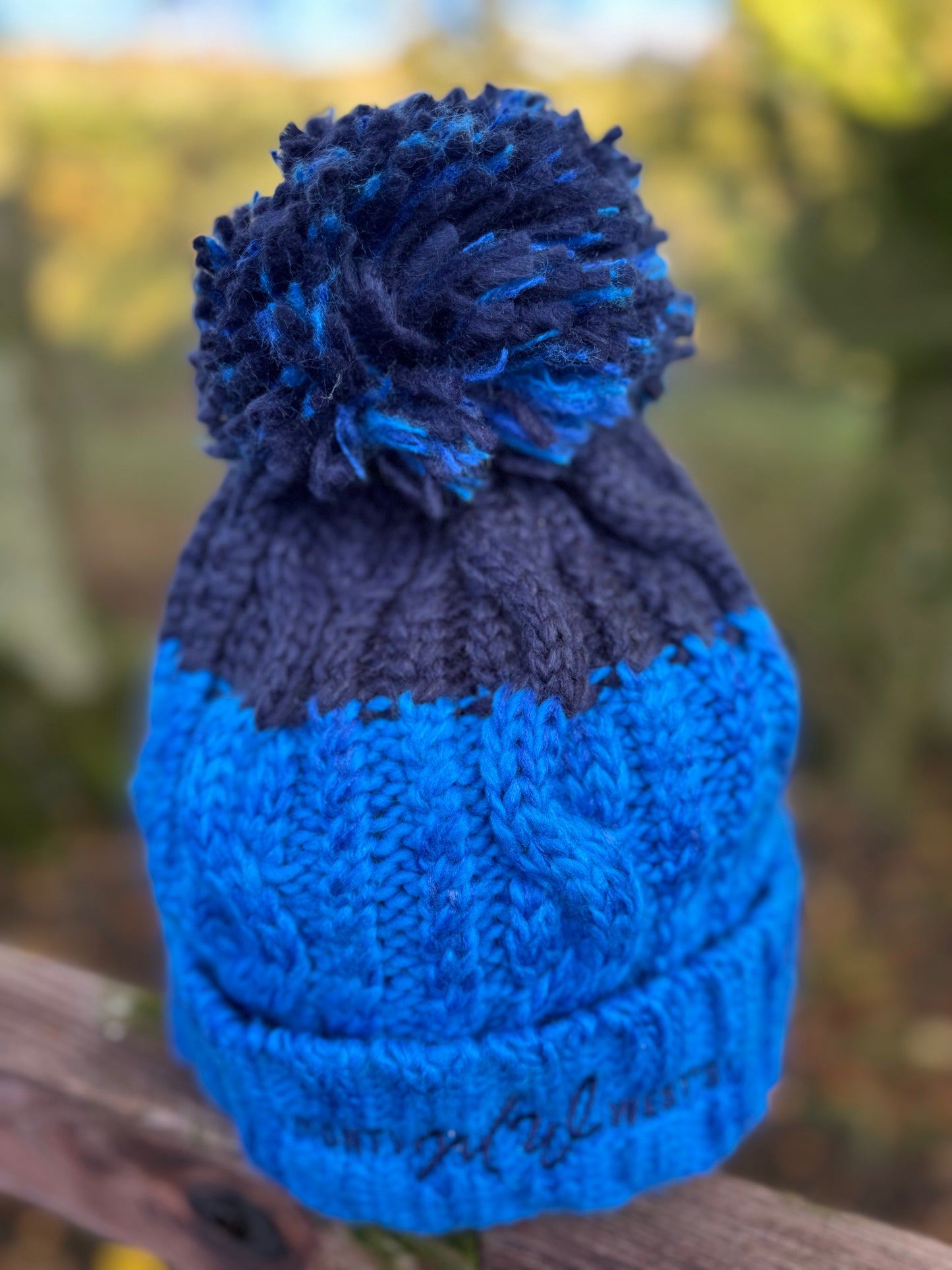 Chunky Pom Pom Hat